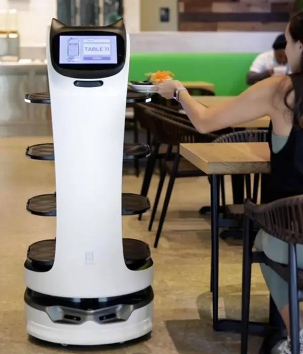 Robotic Servers